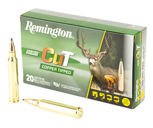 REM PRMRCUT CPR 300WIN 180GR 20/200